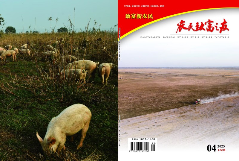 2025年4月下旬刊