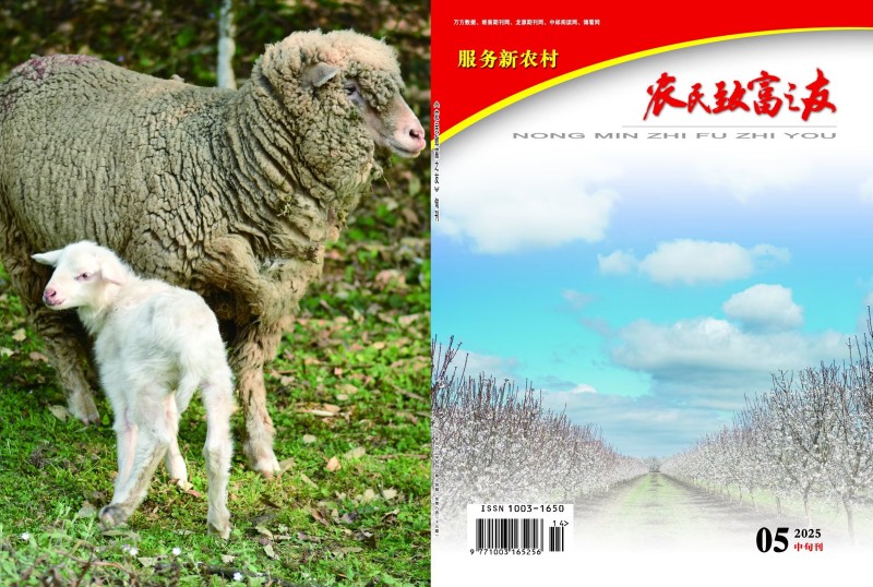 2025年5月中旬刊