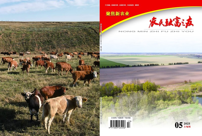 2025年5月上旬刊
