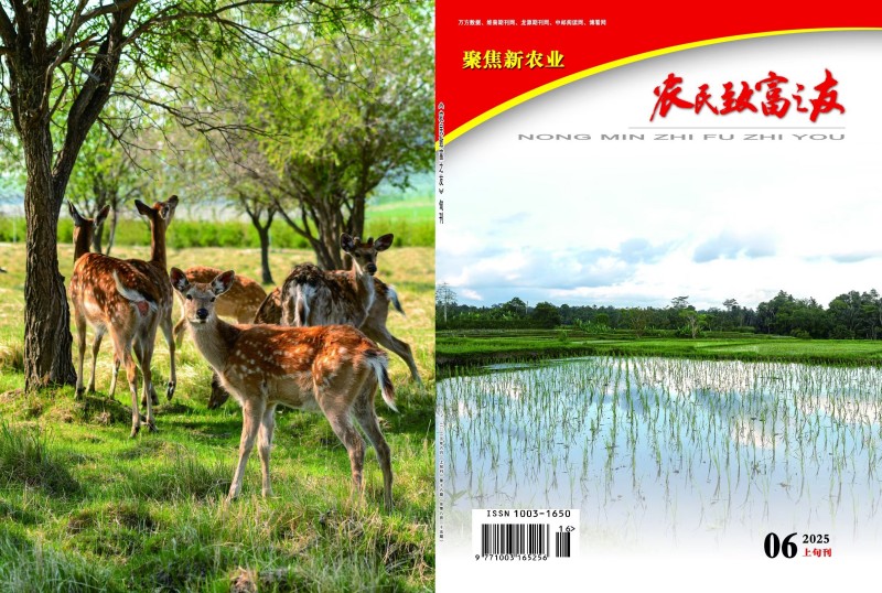 2023年6月上旬刊