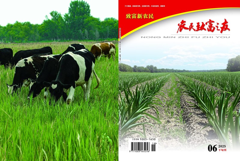 2025年6月下旬刊