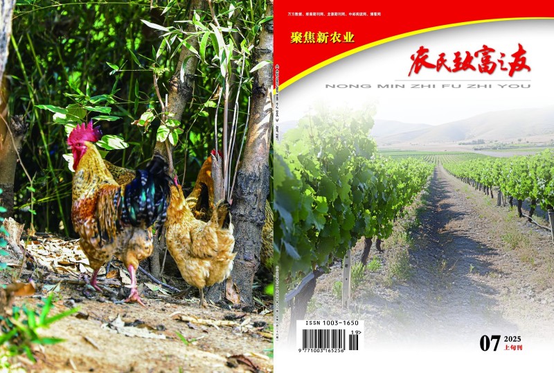 2025年7月上旬刊