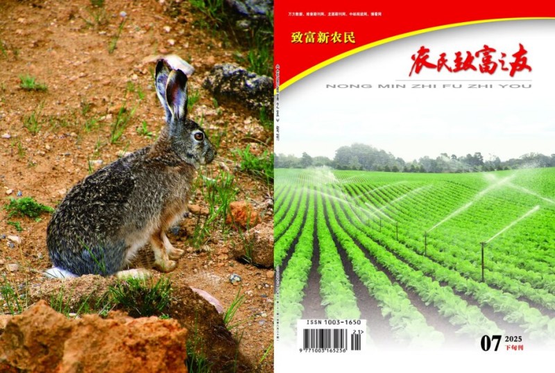 2025年7月下旬刊