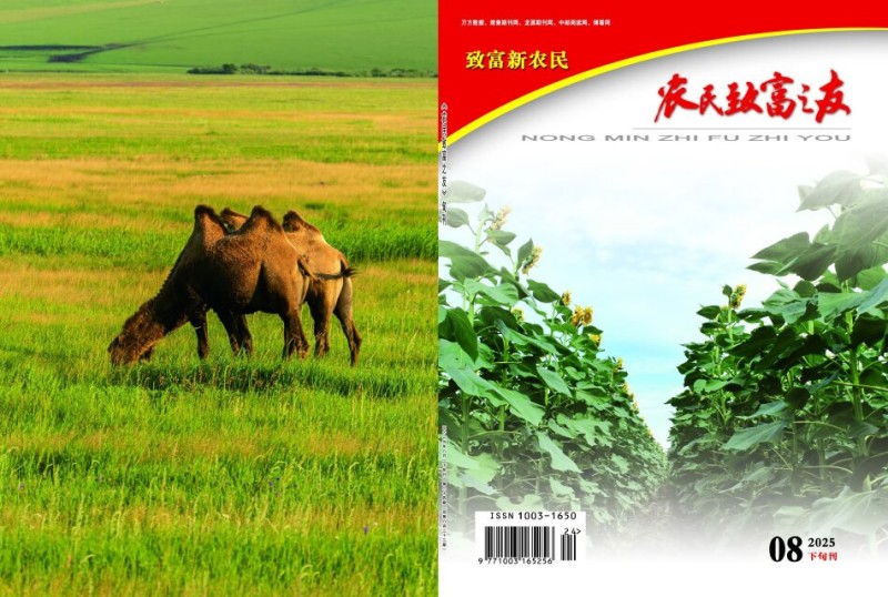 2025年8月下旬刊