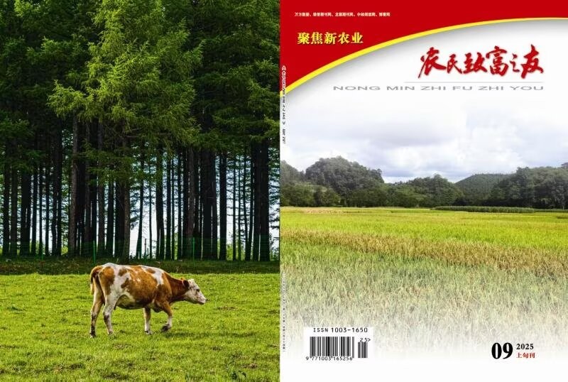 2025年9月上旬刊