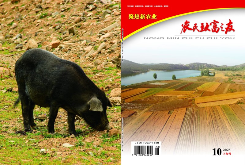 2025年10月上旬刊