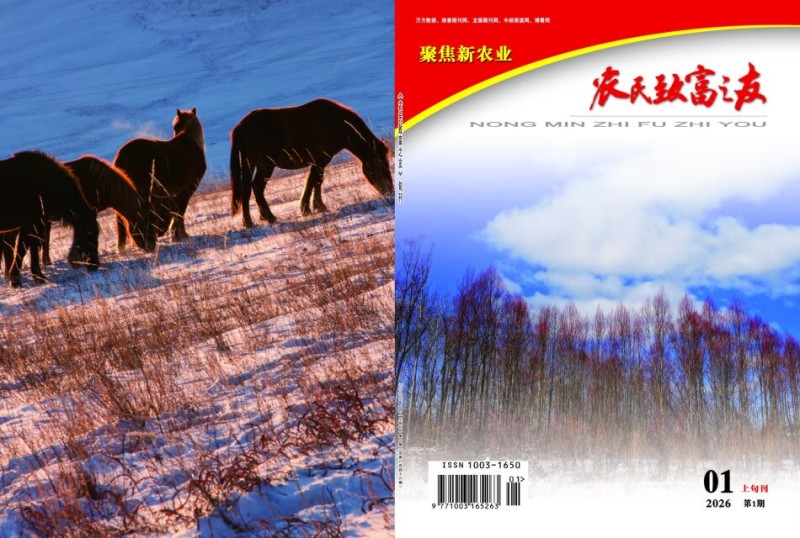 2026年1月上旬刊