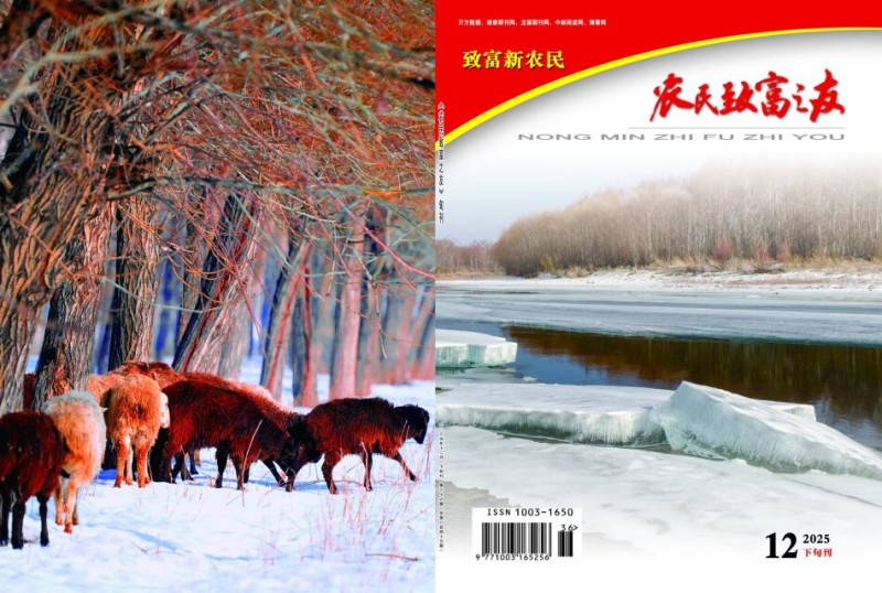 2025年12月下旬刊