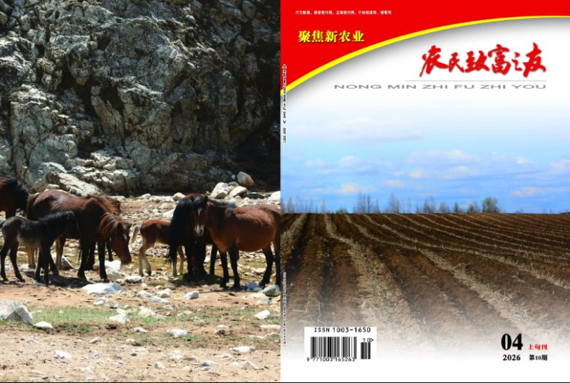 2026年4月上旬刊