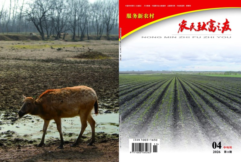 2026年4月中旬刊